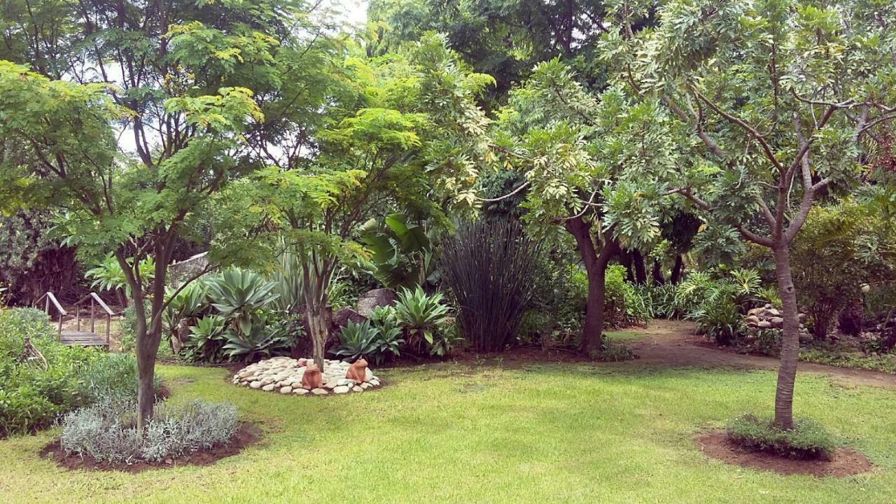 Beyond Cui Bono Guesthouse Addo Buitenkant foto