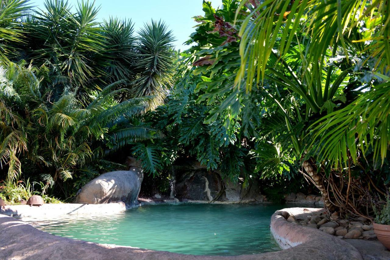 Beyond Cui Bono Guesthouse Addo Buitenkant foto